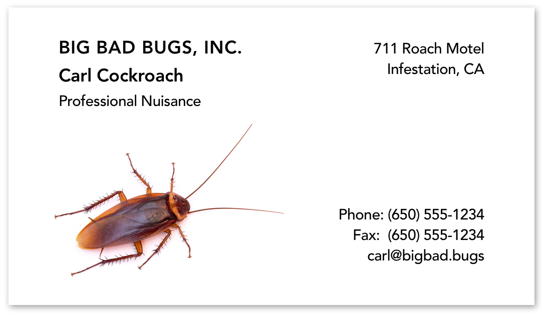 Business card with a cockroach